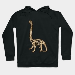 Brontosaurus T-shirt, Braciosaurus Shirt, Large Herbivore Skeleton Tshirt, Vegetarian Dinosaur Bones Tee, Paleontologist, Apatosaurus Hoodie